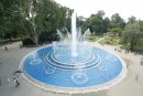 IMG 6501